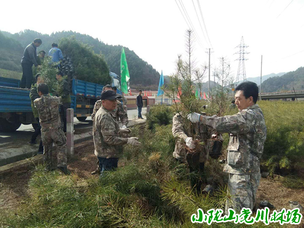 ְ��������������װ��