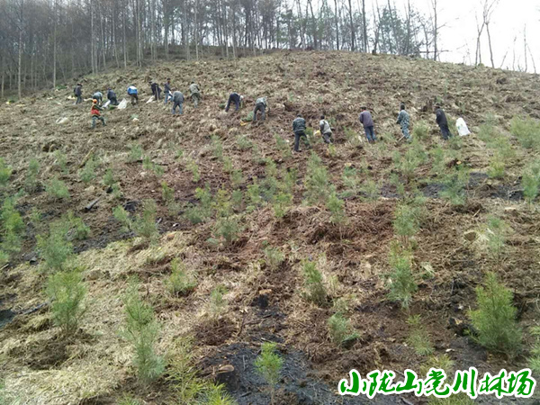 �͸��������ֳ�