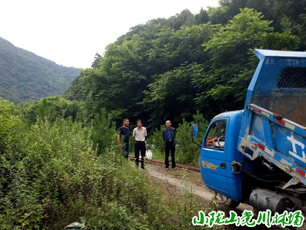 �ֵ�ί��������һ��������ֳ����ָ������