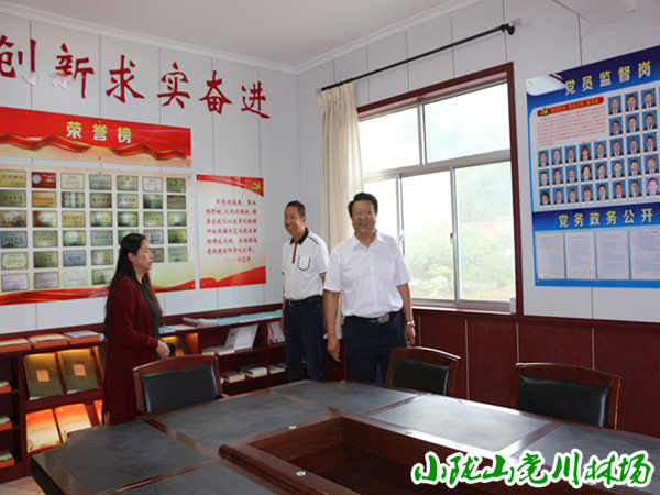 �ι۵����ֳ��������