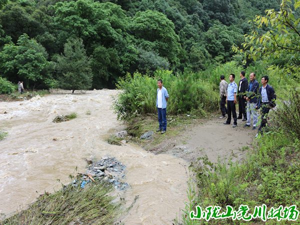 �鿴��ݹ��ܻ�վ����