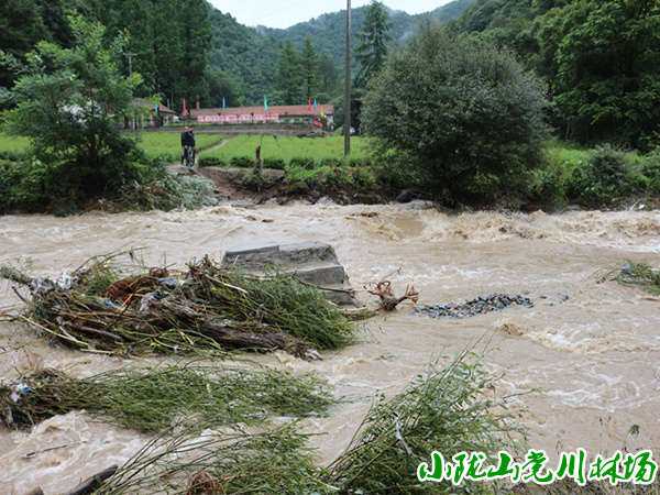 ��ݹ��ܻ�վ���ޱ��ų��