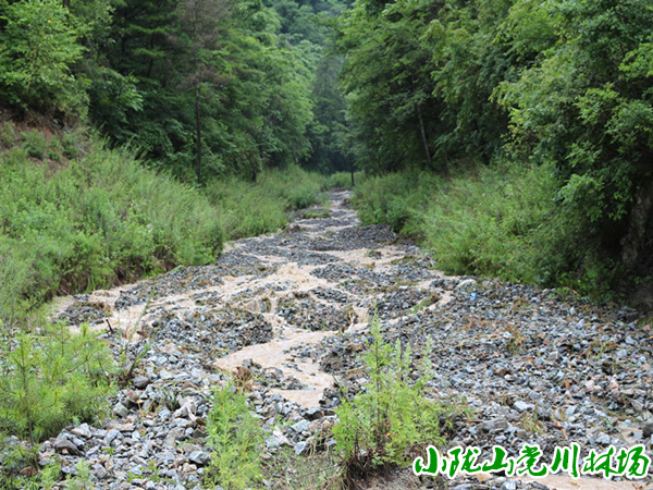 ���ҹ��ܻ�վֲ���ָ�ˮ���ֳ�