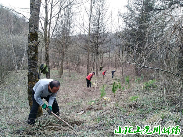 ְ����λֲ��