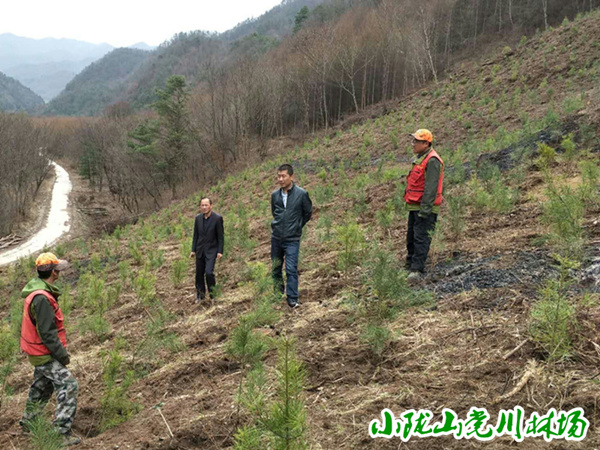 ���쵼���͸������ֹ���