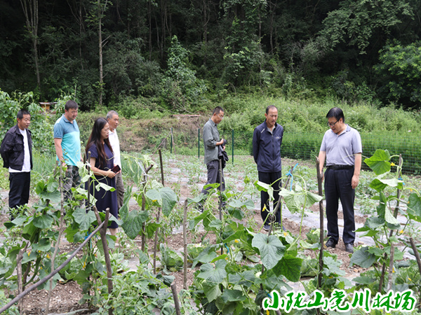 �����ݹ��ܻ�վ��԰�ӽ���