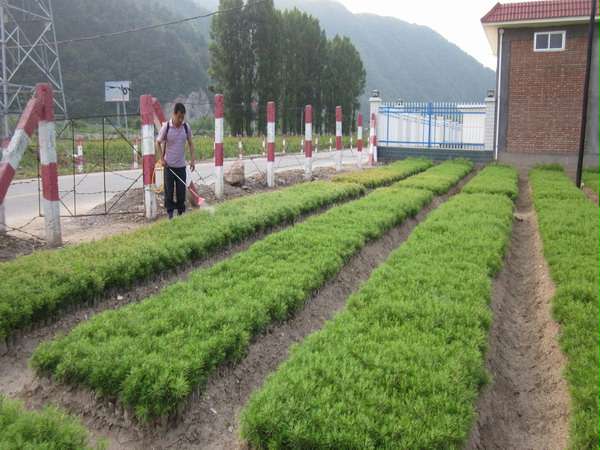 ����������������