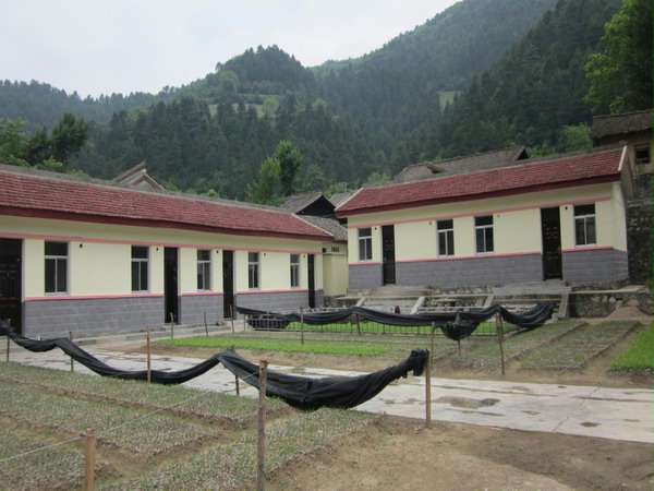 ����Ӫ����