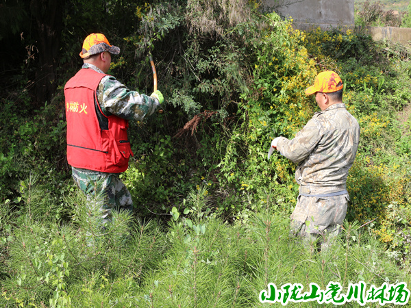 ����ر�Ӱ����ľ�������ӹ�