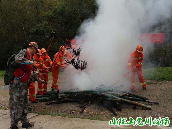 �����Ա�����ֳ��˻����