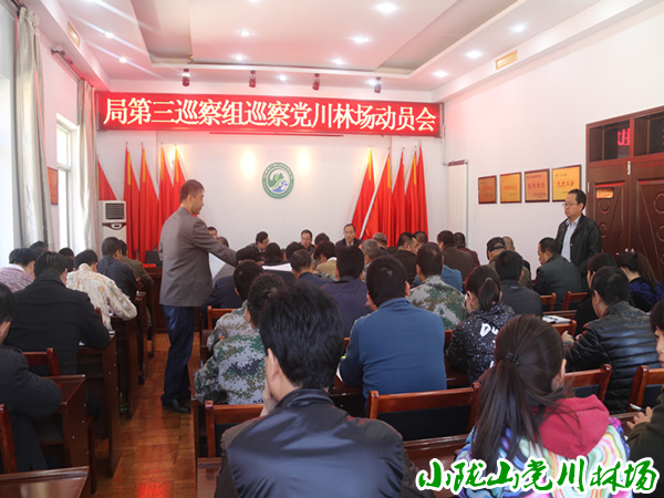 �ʾ�����