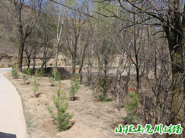 �̻��е�����ֲ