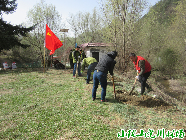 ����������������,������ɫ��԰�