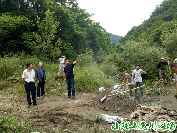 �ֵ�ί��������һ��������ֳ����ָ������