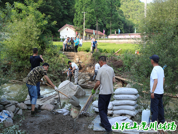 �����ֳ�ȫ����չ��Ѵ����������Ծ�