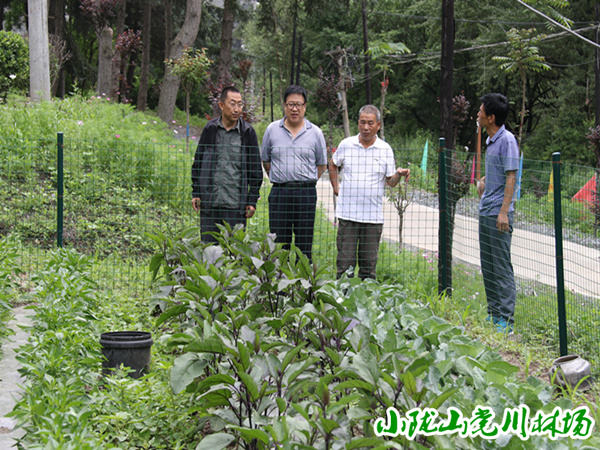 �����ҹ��ܻ�վ��԰�ӽ���