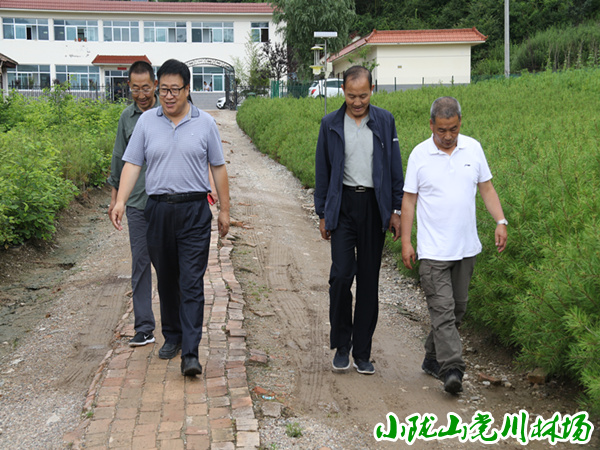 �ڵ����ܻ�վ���