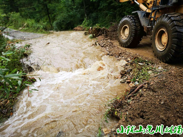 ���޷���̲ɭ�ֹ�԰ˮ�ٵ�·