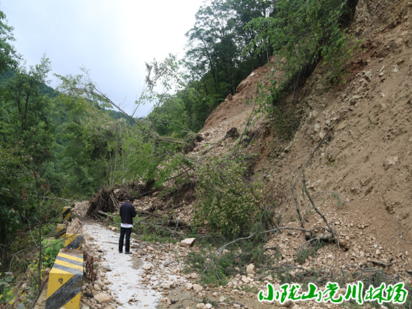 �����ܻ�վɽ�廬�¡���ľ����