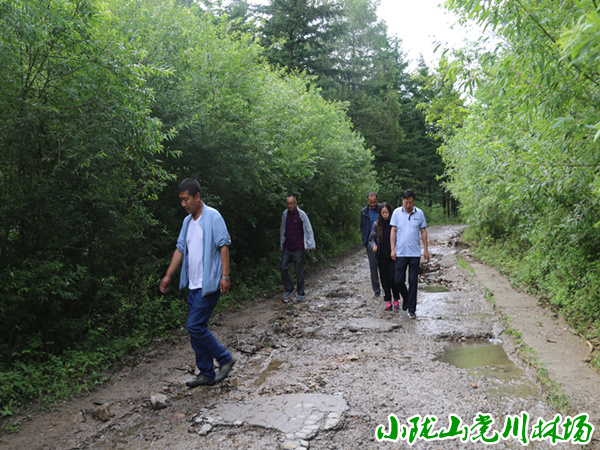 �鿴����̲ɭ�ֹ�԰ˮ�ٵ�·