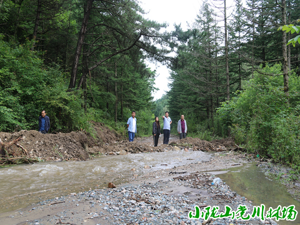 �鿴����̲ɭ�ֹ�԰ˮ�ٵ�·